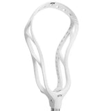 STX Stallion 1K Head