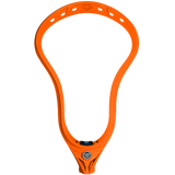 Warrior Evo V Heads LE