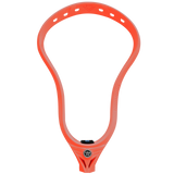 Warrior Evo V Heads LE