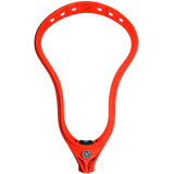 Warrior Evo V Heads LE